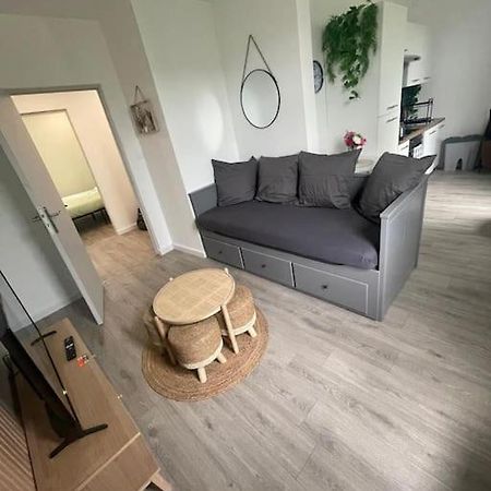 شقة F4 Elegant - Strasbourg Cosy المظهر الخارجي الصورة